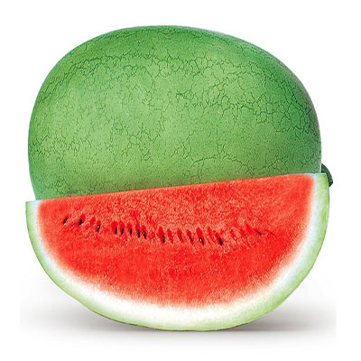 چارلستون گری