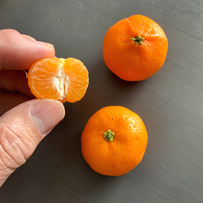 نارنگی کیوشو - تصویر 3