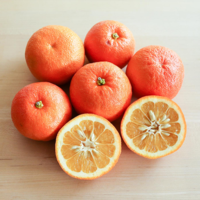 پرتقال سویل - تصویر 3
